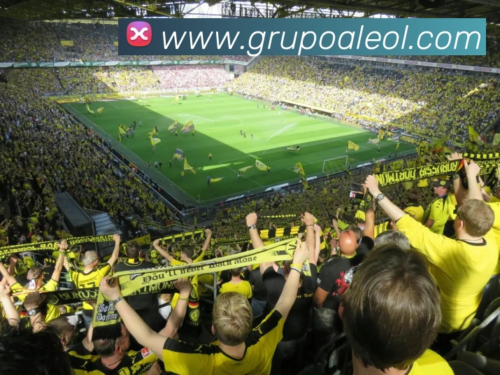 战术分析频道